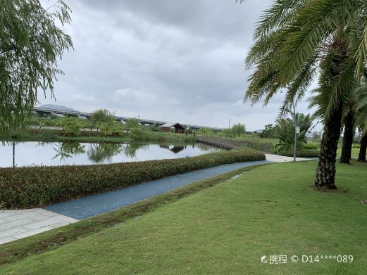 金湾中心河湿地公园