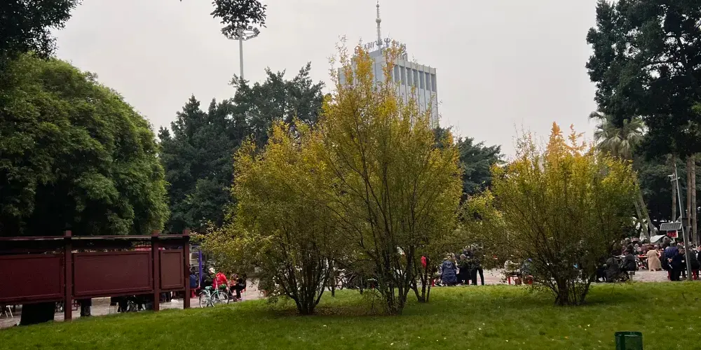 永安旅遊