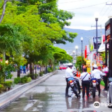 图斯特拉-古铁雷斯图片