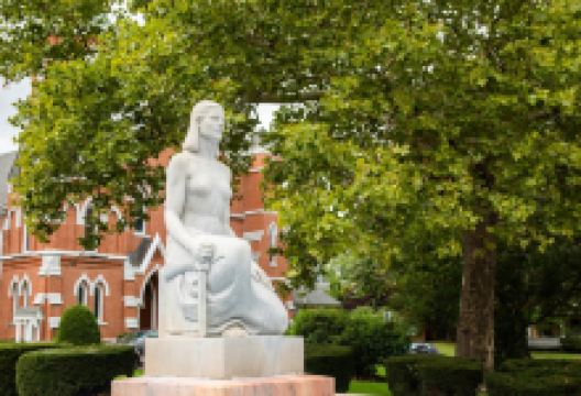 Pulteney Park景点图片