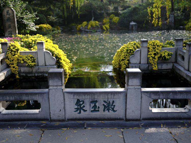 趵突泉-漱玉泉