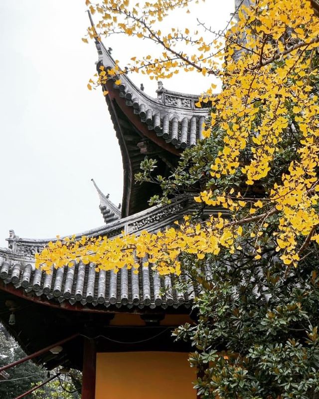 龙华塔旅行图片 6