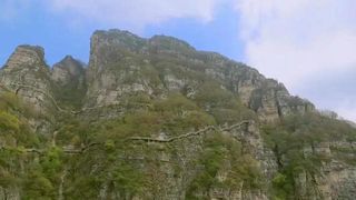 想和你一起见证,妖娆丁香遇上磅礴云海...