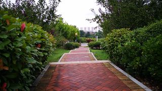 20200805爱琴海景采摘