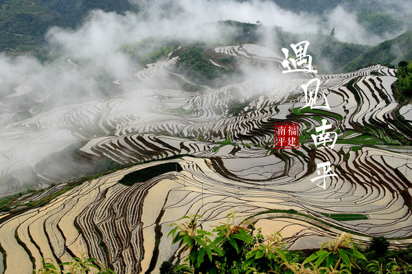 遇见南平，一个来了就不想离开的地方