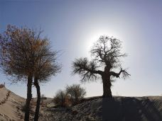 塔里木沙漠公路-且末-JJ77