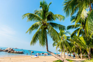 五天四晚三亚全攻略,错峰出行享受最温暖的冬天