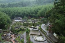 大洞竹海-盘州-C-IMAGE