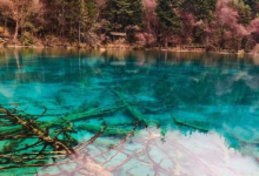 古尔沟镇旅游图片-5日成都+理县+黑水+阿坝+九寨沟