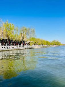 大明湖景区-济南-真诚7577