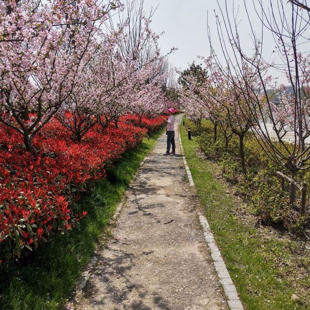 奉浦四季生态园旅行图片 1