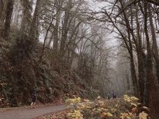 哥伦比亚河峡谷国家风景区-斯卡梅尼亚县-DEAR张小球