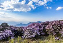 龙肘山景点图片