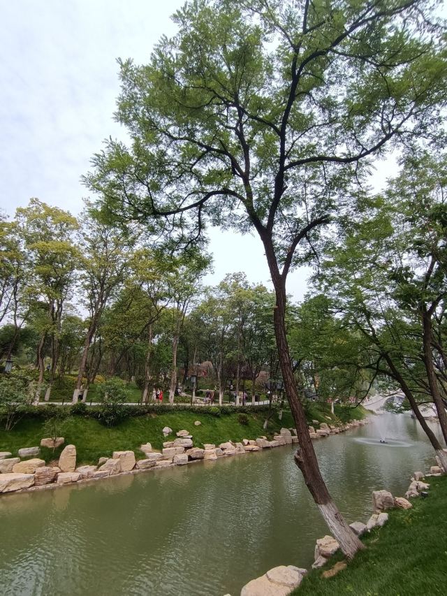 兴庆宫公园旅行图片 1