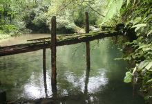 黑熊谷森林公园景点图片