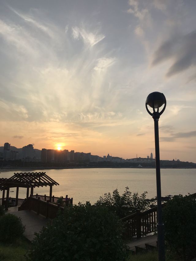 玉渊潭公园钓鱼台银杏大道旅行图片 1