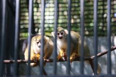 茂名森林公园-茂名-C-IMAGE