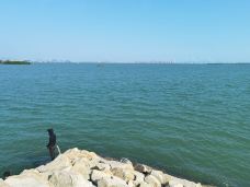 水东湾-茂名-叶子云游