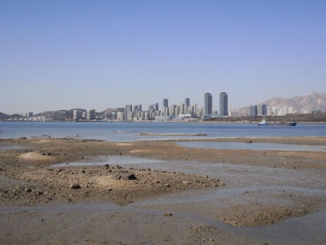 唐岛湾滨海公园-观景台旅行图片 1