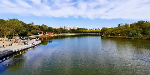 塘沽森林公園
