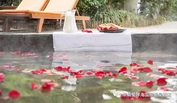 长安先导国际创新人才交流中心·药浴温泉旅行图片 3