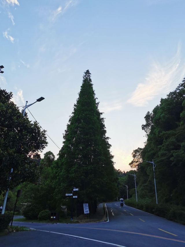 酒埠江国家地质公园旅行图片 1