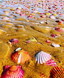 烟台-随遇而安20212021