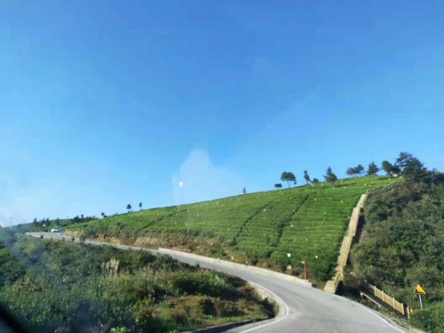 龙里大草原景区旅行图片 2