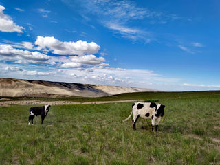 龙羊峡 - 青海小众宝藏旅游地