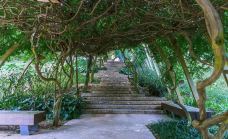 古猿人洞-南京-C-IMAGE