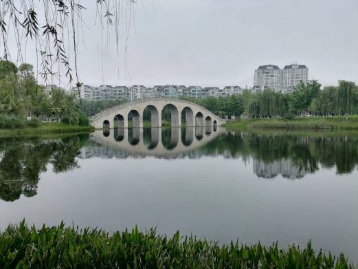 苏母公园
