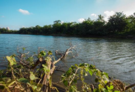 沙洲岛景点图片