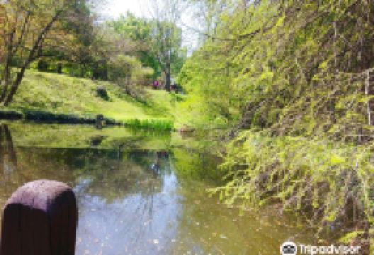 Comenius University Botanical Garden景点图片