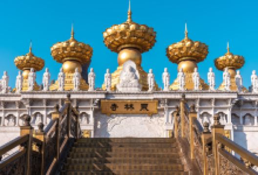 上海东林寺景点图片