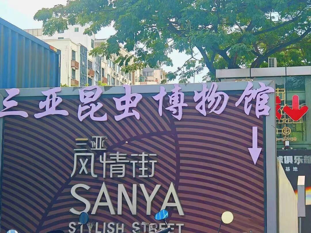 三亚昆虫博物馆