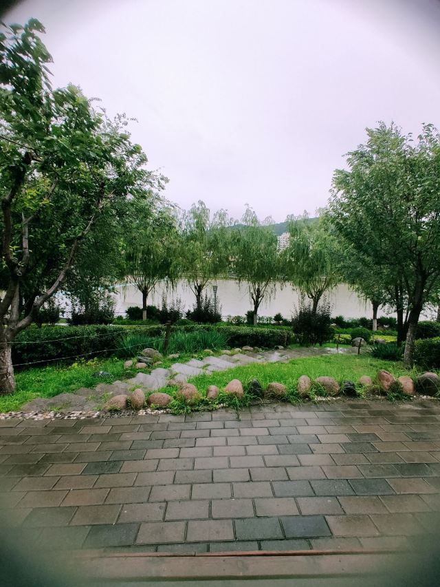 樱花园旅行图片 3