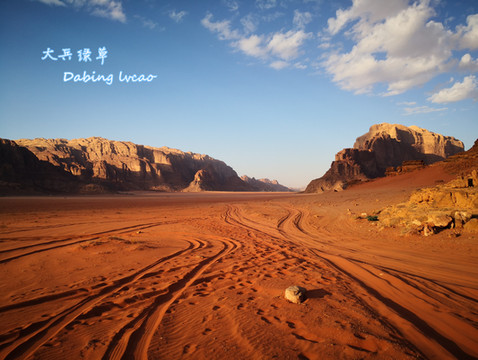 2019年冬以色列、约旦自由行游记(10)——瓦迪拉姆