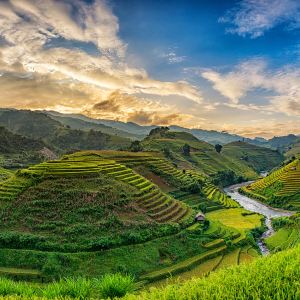 Sapa