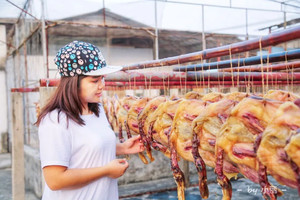 江门游记图文-香遇小冈 | 一起走进江门新会这个宝藏之地