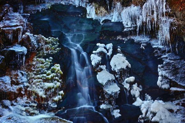 这个冬天，惠民卡带你体验久违的新鲜和野趣
