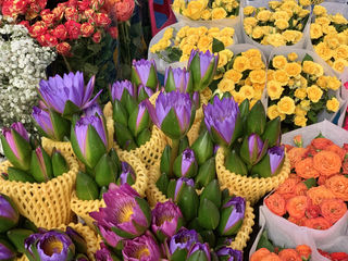 昆明最受欢迎的2大花市，鲜花论斤卖，是感受云南烟火味的好去处