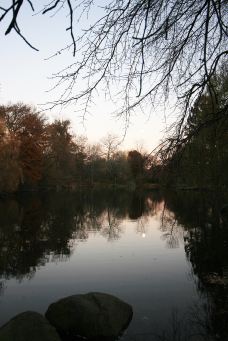 蒂尔加藤公园-柏林