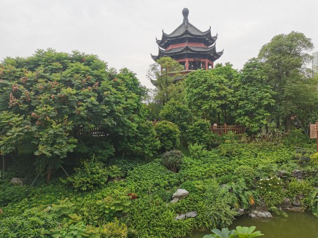 岭南和园旅行图片 6
