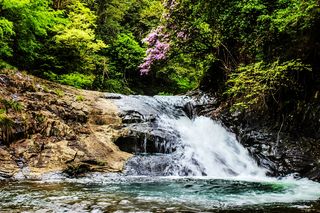 诸暨五泄，神态奇特变幻莫测的飞瀑，你可曾到此一游