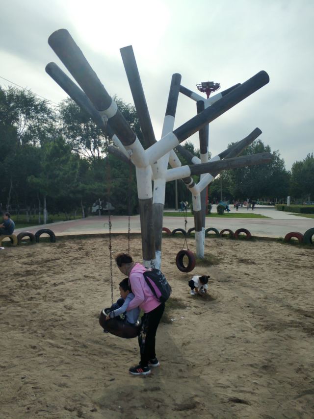 皇姑英雄公园旅行图片 6