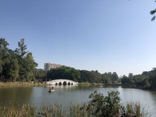阳江市区森林公园