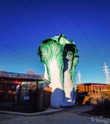 和龙游记图文-全亚洲最大的白菜竟在这里？号称中国辣白菜第一村，距边境不到50公里