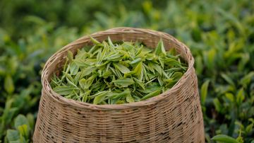 Longjing Village