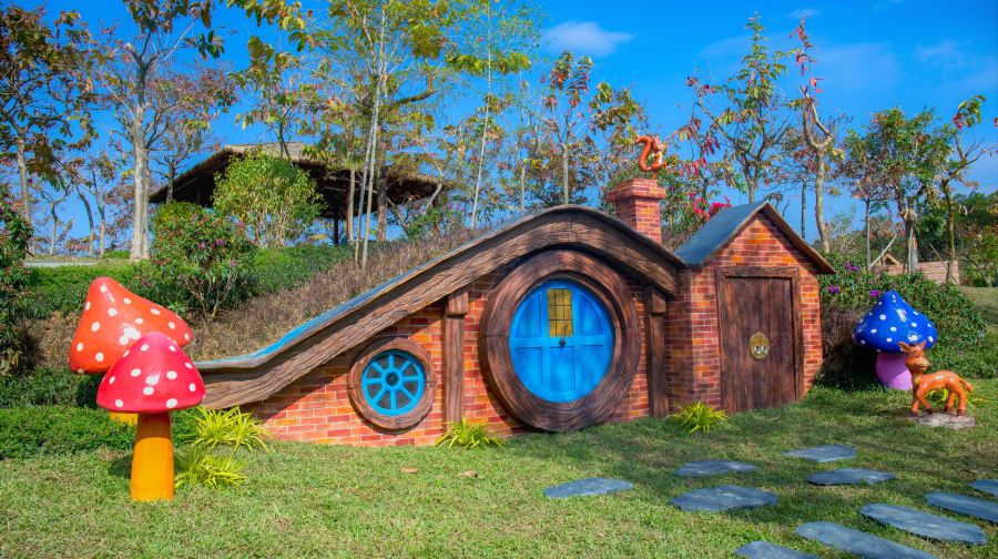 森波拉奇妙世界