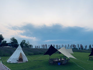 军阀地主的奇幻花园，夏日炎炎你值得拥有
